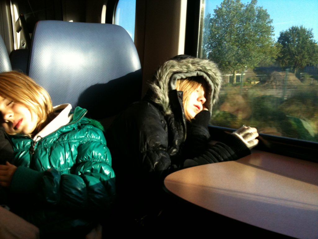 img107.jpg
