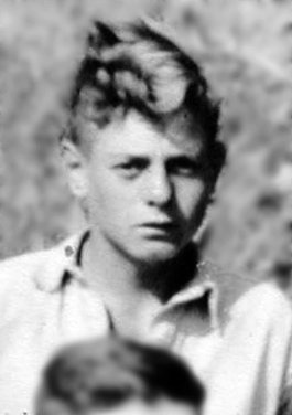 Photograph